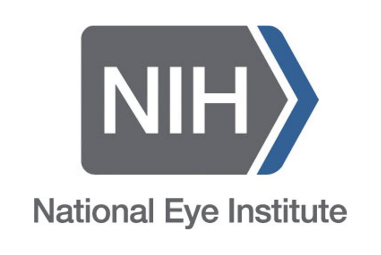 The National Eye Institute's blue and gray logo on a white background.