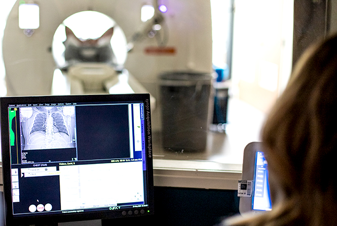 Two radiologists monitor a patient in a scanner during an imaging exam from the control room.