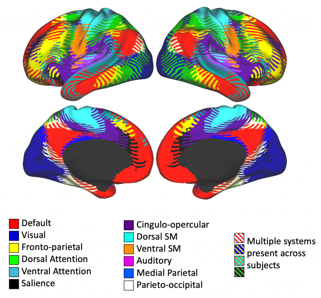 Individuals exhibit substantial anatomical variation in the locations of their brain networks. If this variation is not taken into account, it can introduce uncertainty into brain network measurements.