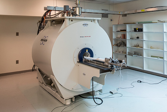 Small Animal MR Facility - Services & Equipment | Mallinckrodt Institute of  Radiology - Washington University School of Medicine in St. Louis
