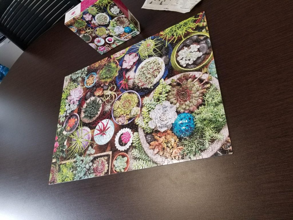 A rectangle puzzle featuring various succulents