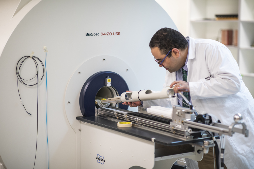Arash Nazeri, MD, conducts preclinical MRI research.