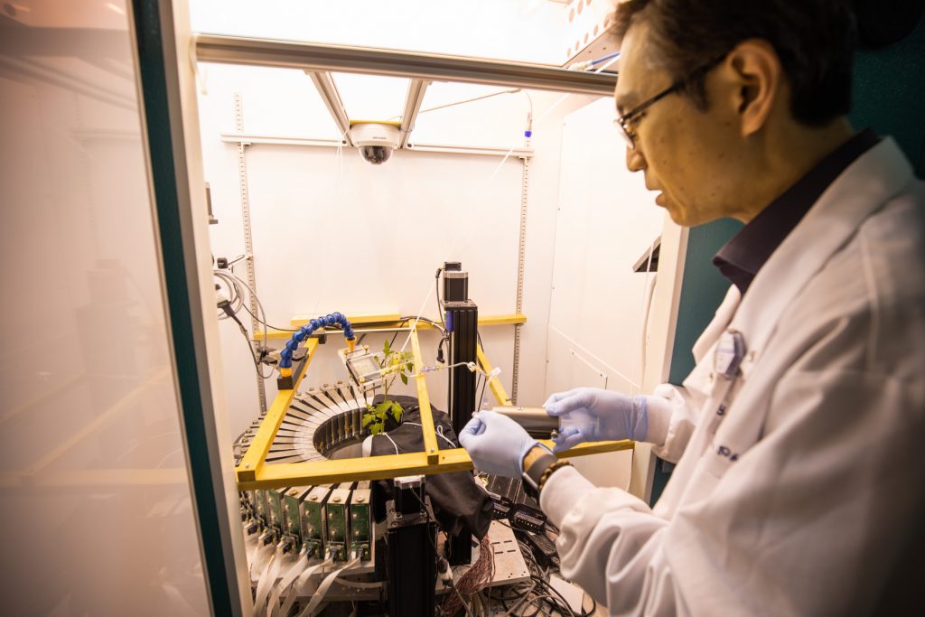 John Ryu Radiologist Leadership - Mallinckrodt Institute of Radiology - WashU Medicine