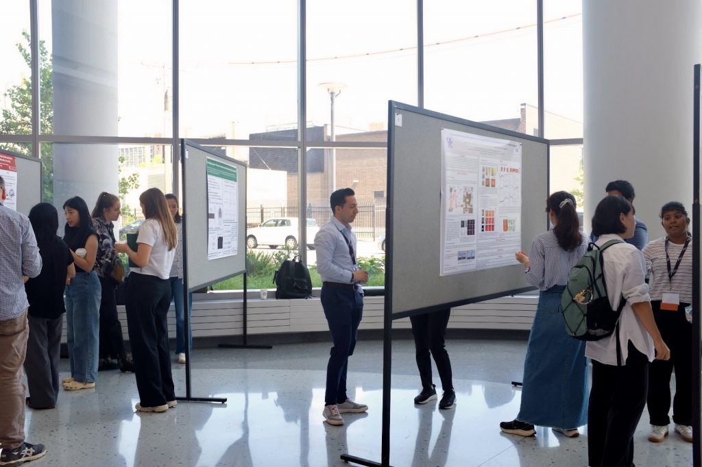 fNIRS Summer School