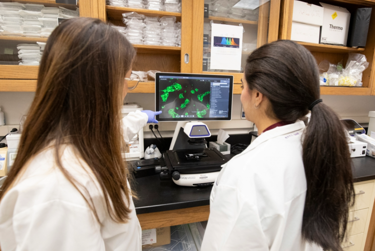 Liu, Ribeiro Pereira and Shokeen Receive Siteman Investment Program Awards to Fund Cancer Research