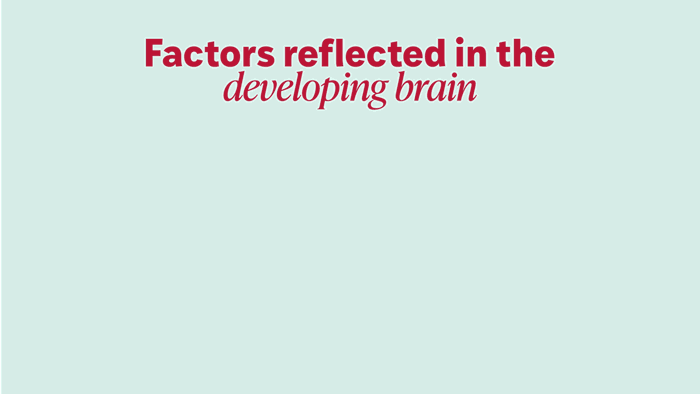 A graphic reads "Factors reflected in the developing brain" and lists a number of factors: medical history, substance abuse, mental health, social adjustment, personality, parenting, physical health, culture/environment, demographics screen time, cognitive abilities — and finally, socioeconomic status, which is the largest icon.